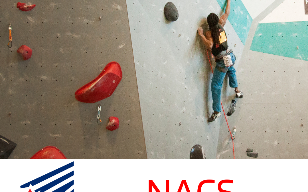 Call for Applications – NACS 2023